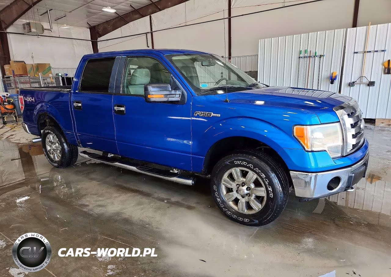 2009 Ford F150 Supercrew VIN:1FTPW14V39FB21270 - 4