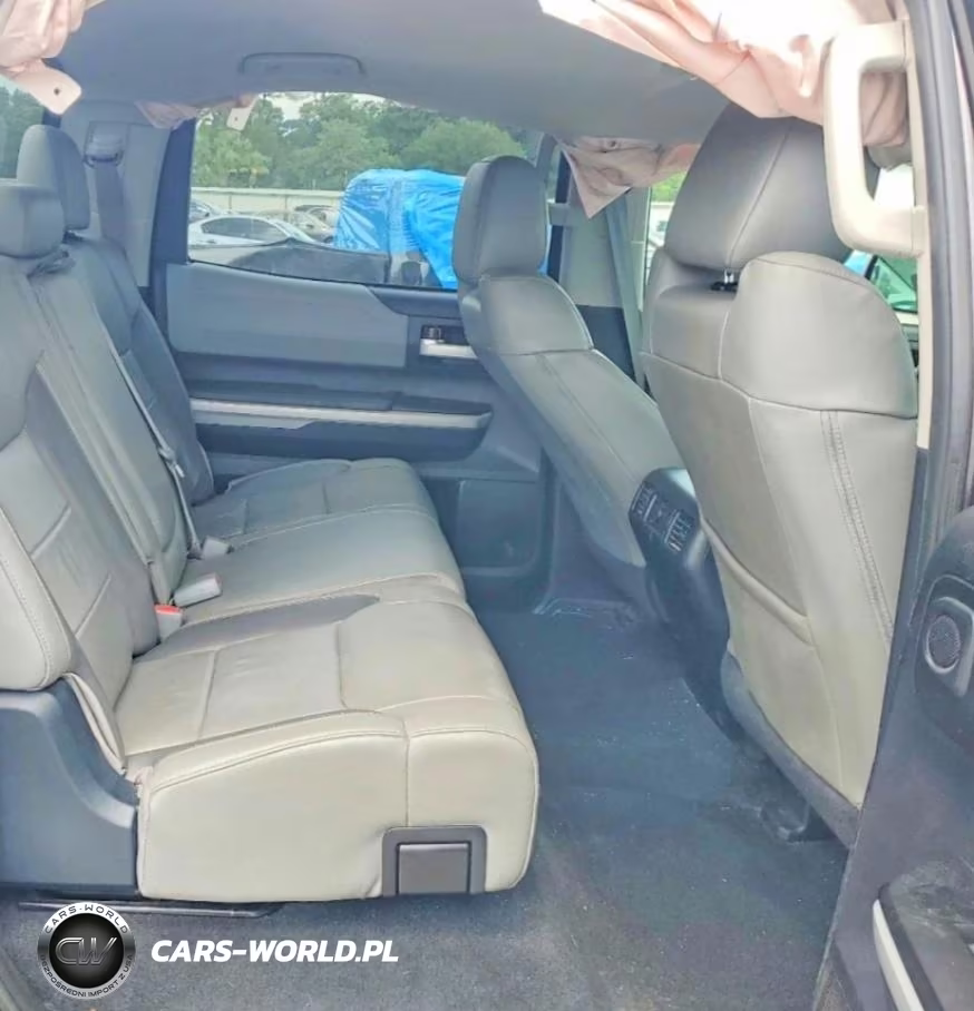 2018 Toyota Tundra Crewmax Limited VIN:5TFHW5F17JX732925 - 10