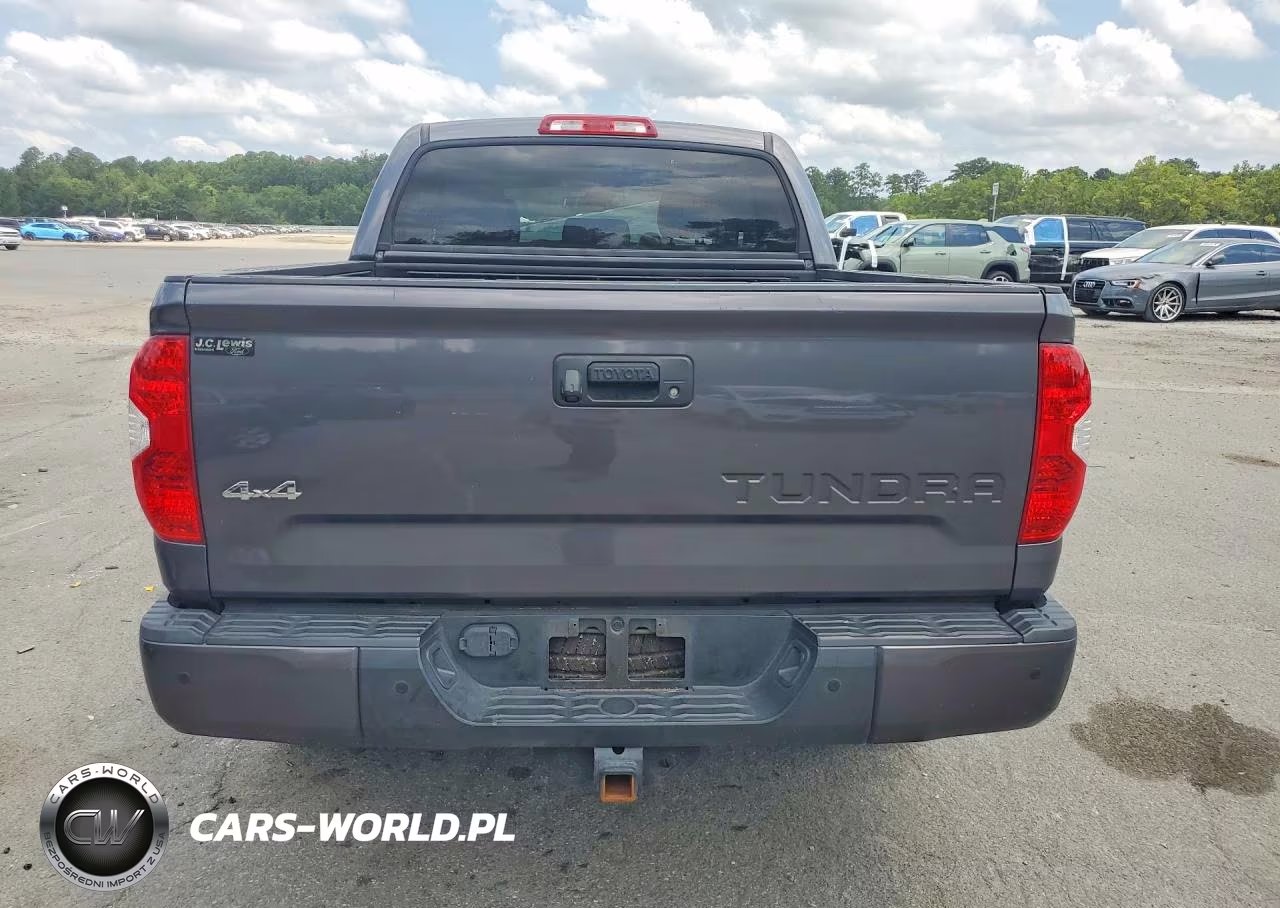 2018 Toyota Tundra Crewmax Limited VIN:5TFHW5F17JX732925 - 6