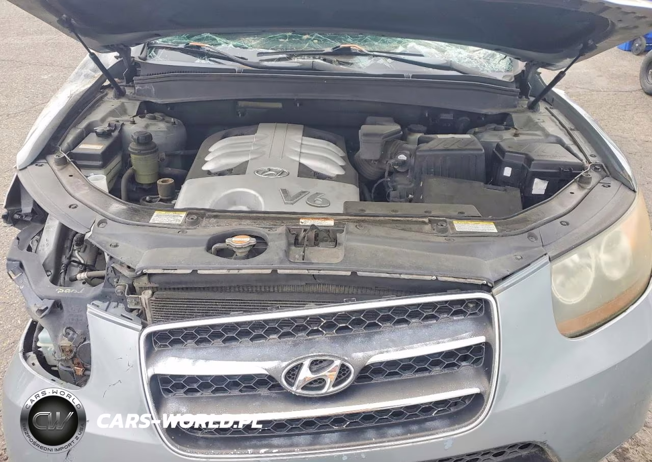 2007 Hyundai Santa Fe Se VIN:5NMSH73E67H073949 - 11