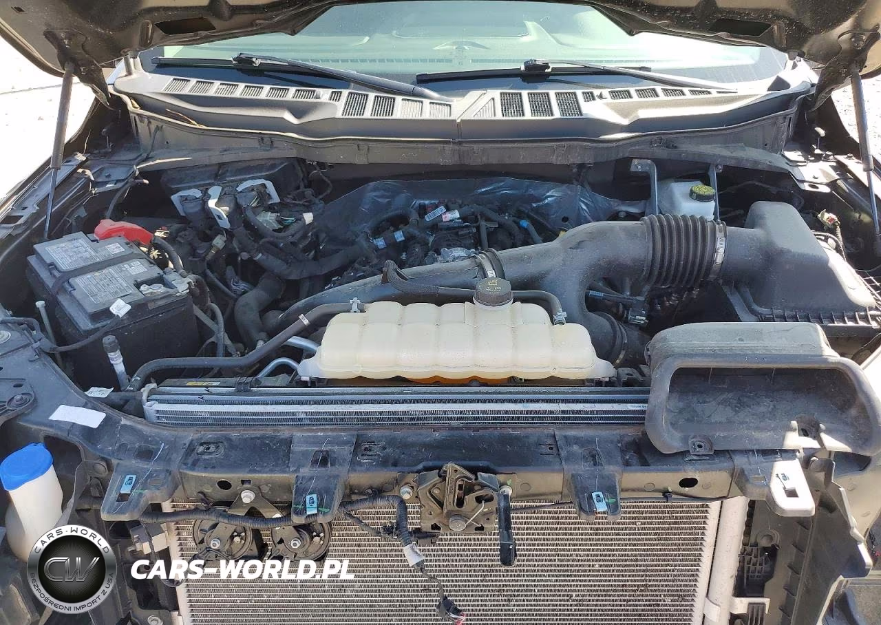 2025 Ford F150 Xlt VIN:1FTEW3KPXSKE05175 - 11