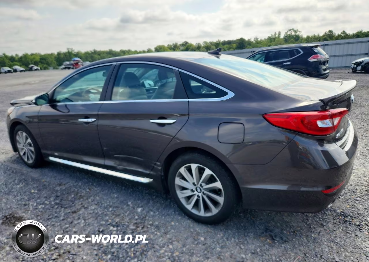 2016 Hyundai Sonata Sport VIN:5NPE34AF8GH264197 - 2