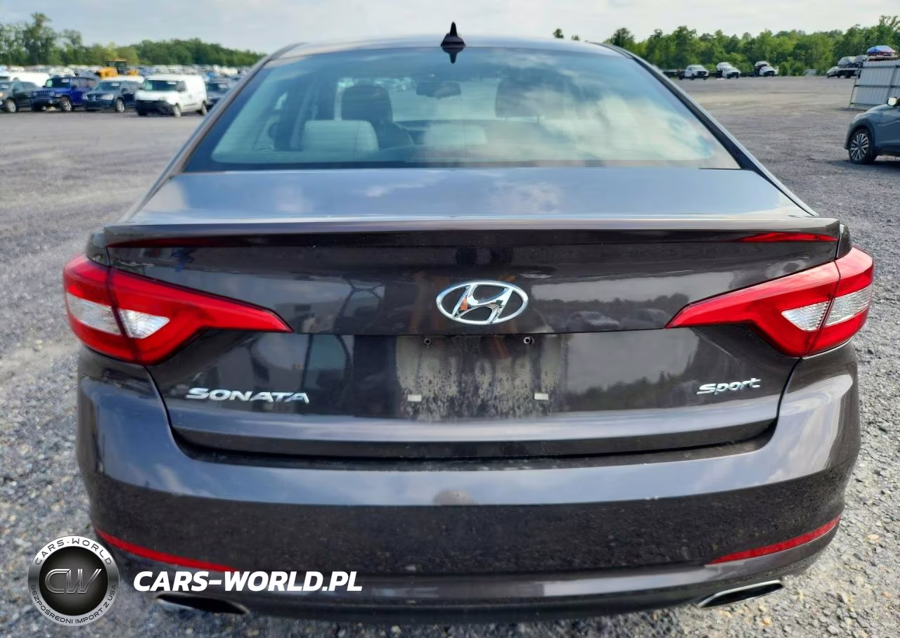2016 Hyundai Sonata Sport VIN:5NPE34AF8GH264197 - 6
