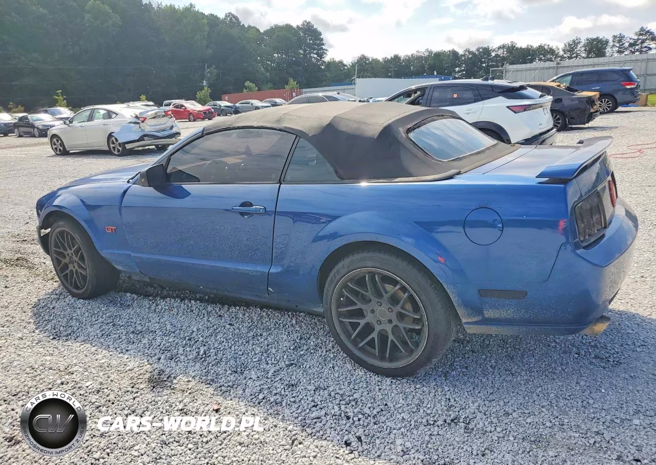 2006 Ford Mustang Gt VIN:1ZVHT85H765255227 - 2