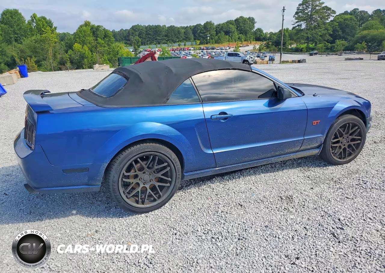 2006 Ford Mustang Gt VIN:1ZVHT85H765255227 - 3