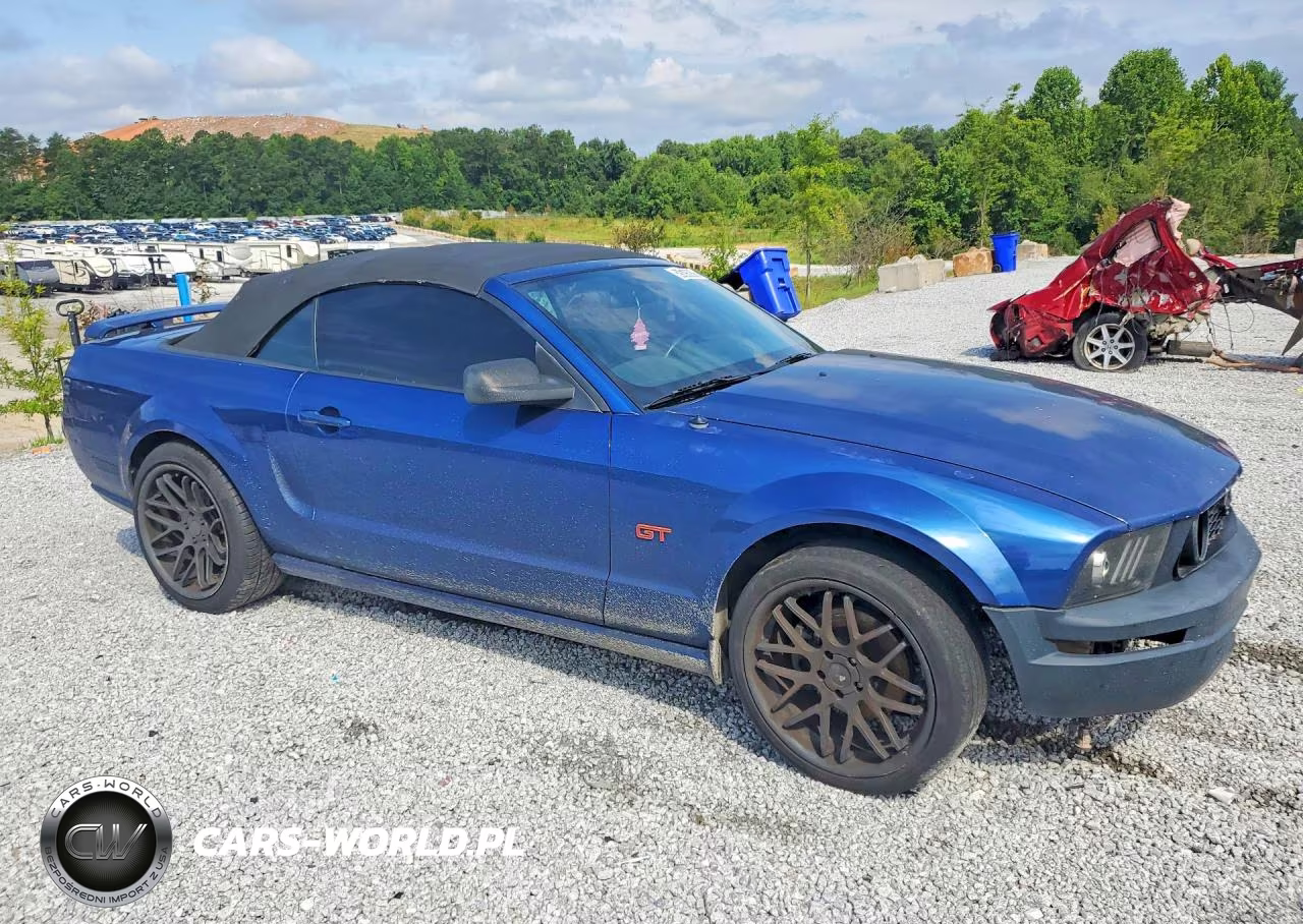 2006 Ford Mustang Gt VIN:1ZVHT85H765255227 - 4