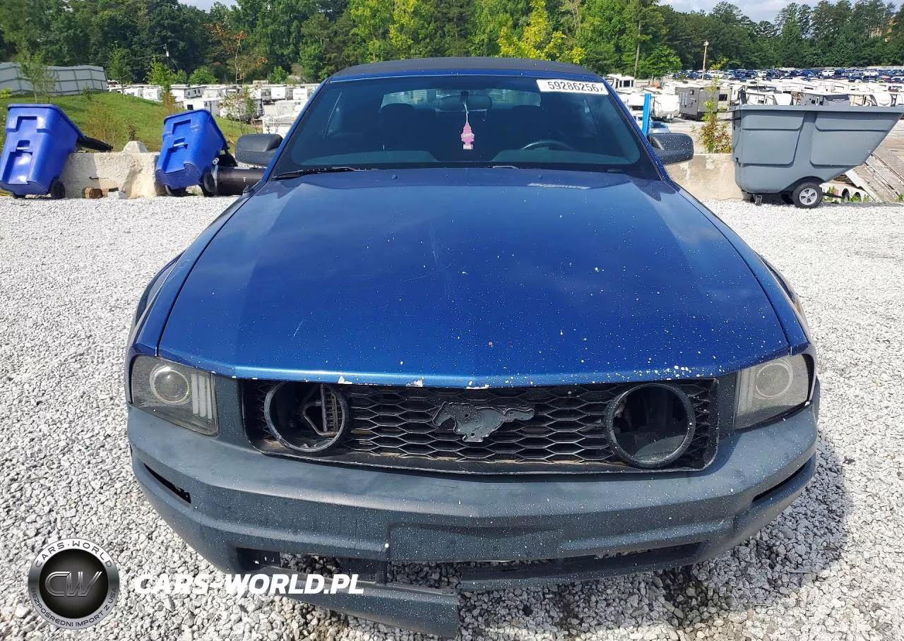 2006 Ford Mustang Gt VIN:1ZVHT85H765255227 - 5