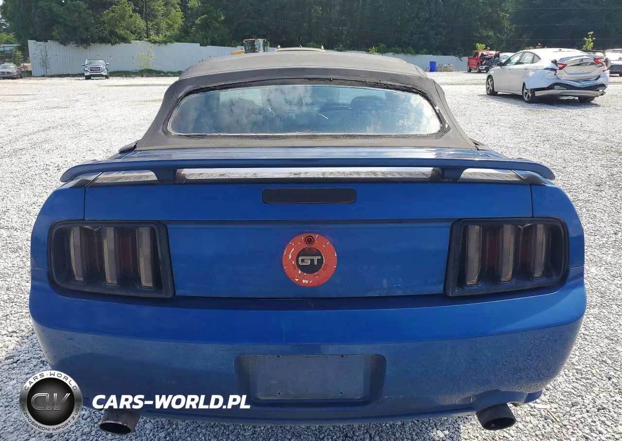 2006 Ford Mustang Gt VIN:1ZVHT85H765255227 - 6