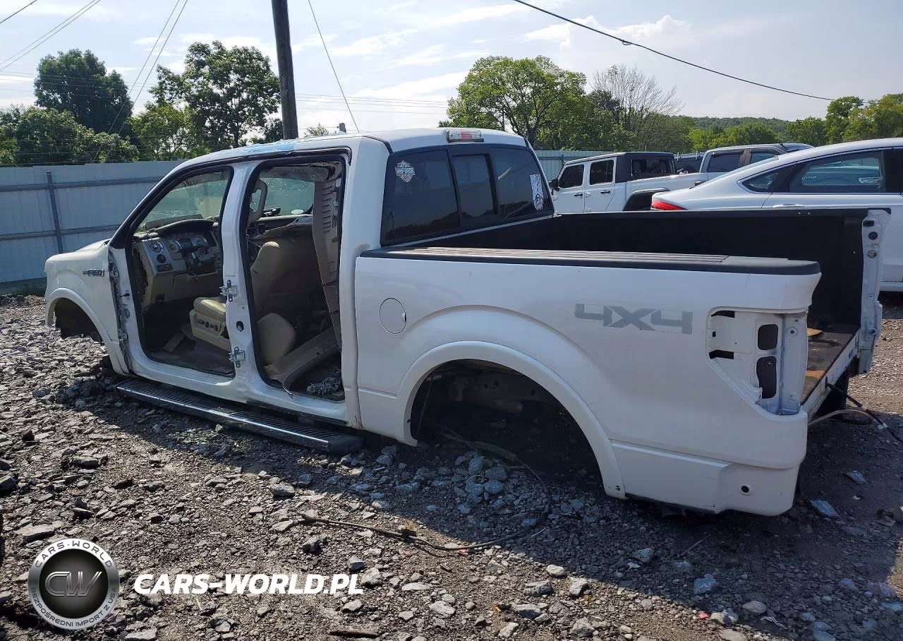 2010 Ford F150 VIN:1FTFW1EV1AFD76014 - 2