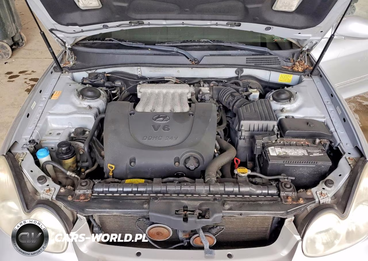 2004 Hyundai Sonata Gls-Lx VIN:KMHWF35H74A952711 - 11