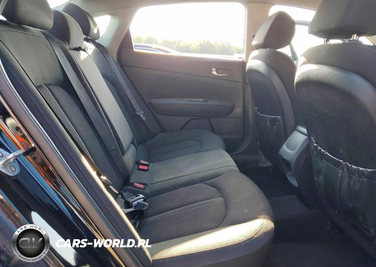 2016 Kia Optima Lx VIN:5XXGT4L3XGG029095 - 10