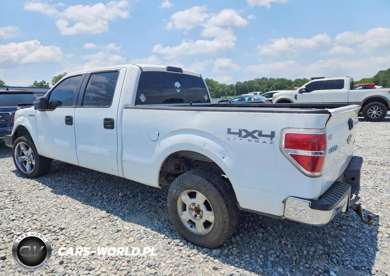 2011 Ford F150 Supercrew VIN:1FTFW1EF8BFB28806 - 2