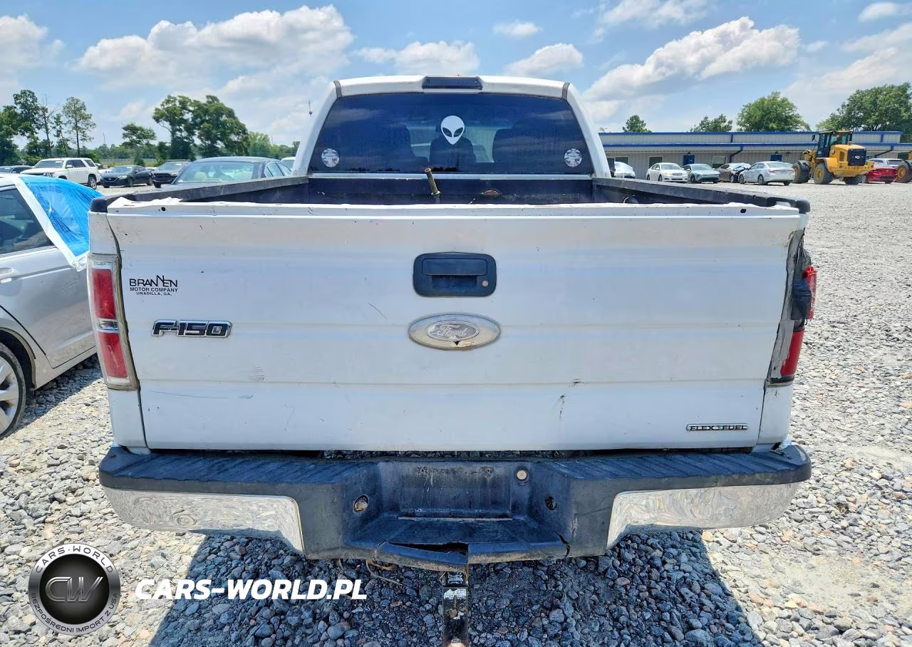 2011 Ford F150 Supercrew VIN:1FTFW1EF8BFB28806 - 6