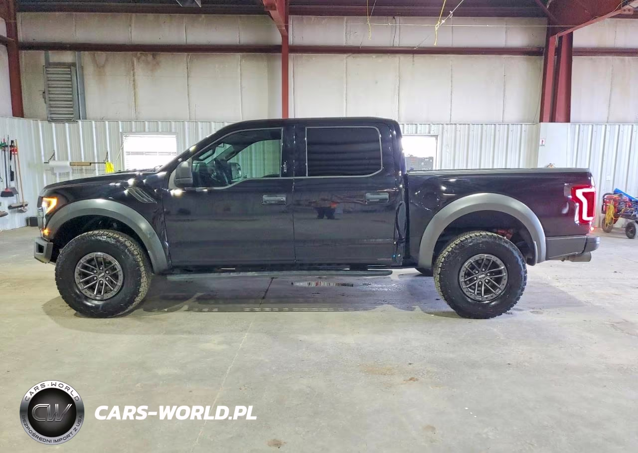 2020 Ford F150 Raptor VIN:1FTFW1RG6LFC64517 - 12