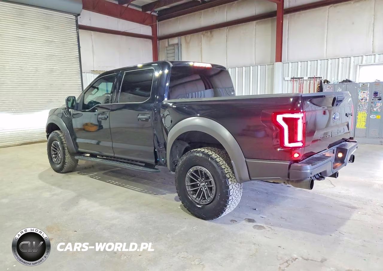 2020 Ford F150 Raptor VIN:1FTFW1RG6LFC64517 - 2