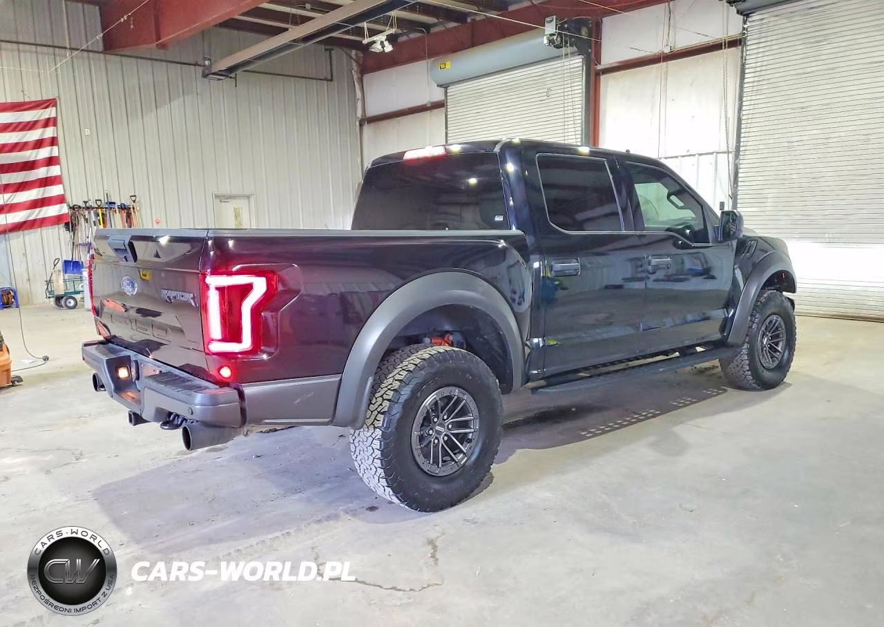 2020 Ford F150 Raptor VIN:1FTFW1RG6LFC64517 - 3