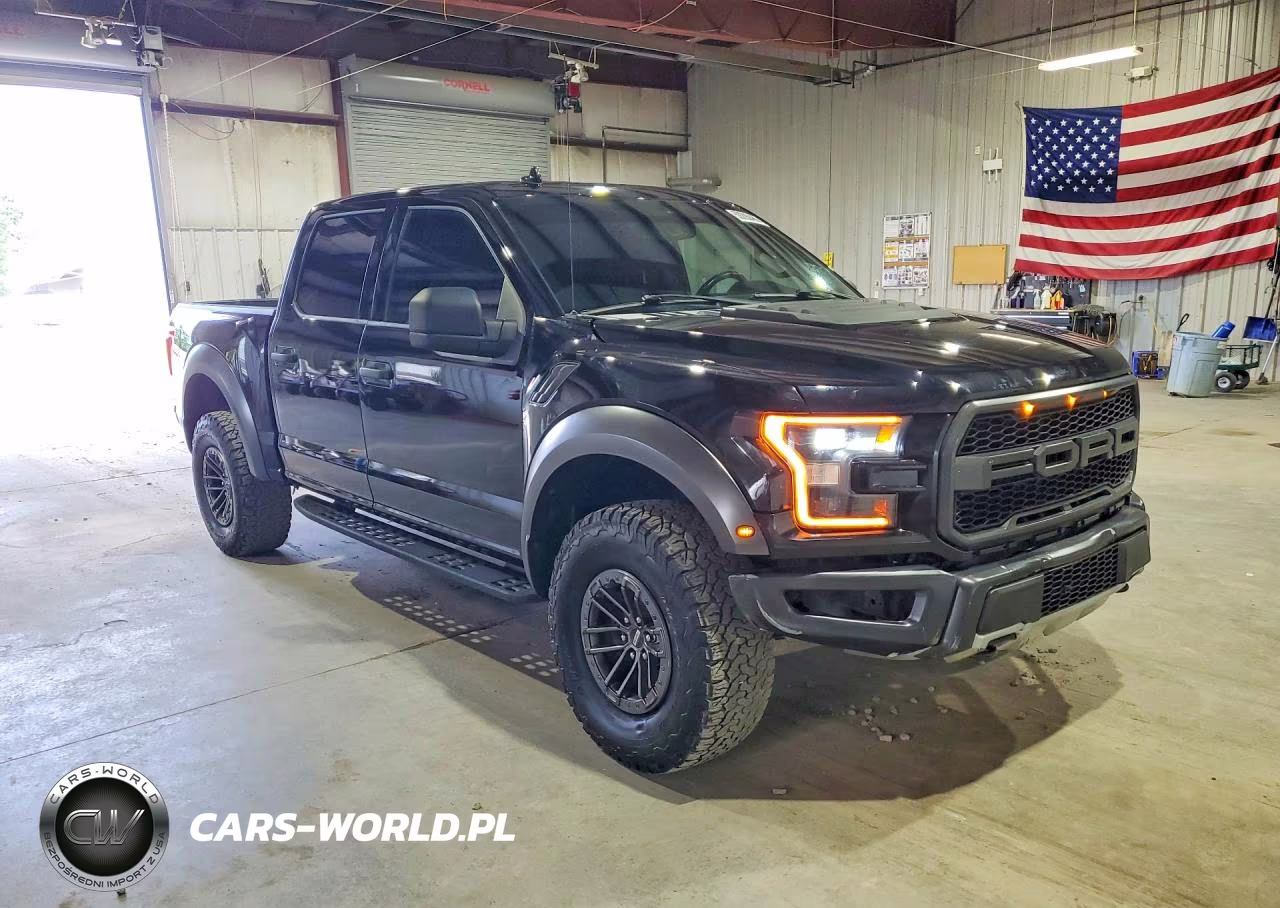 2020 Ford F150 Raptor VIN:1FTFW1RG6LFC64517 - 4