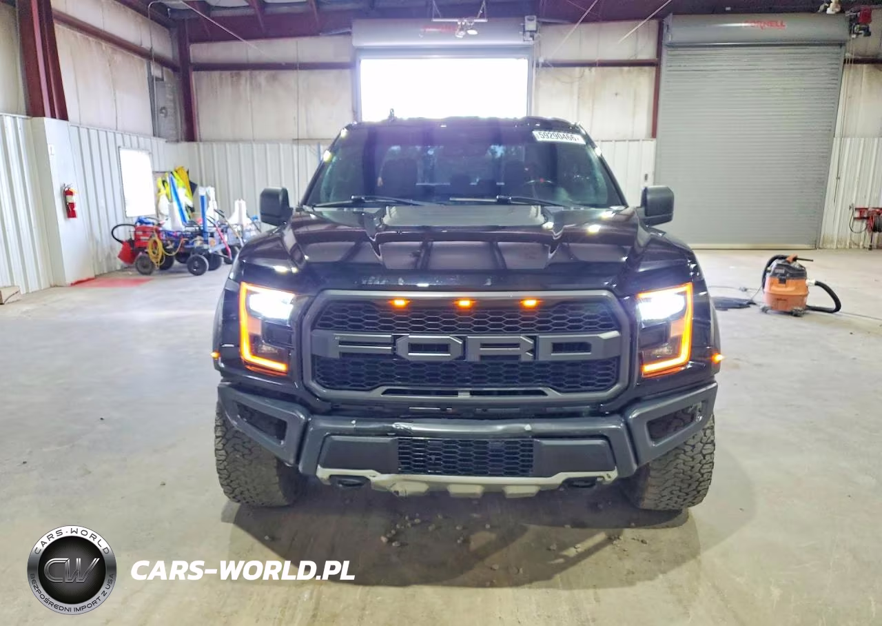 2020 Ford F150 Raptor VIN:1FTFW1RG6LFC64517 - 5