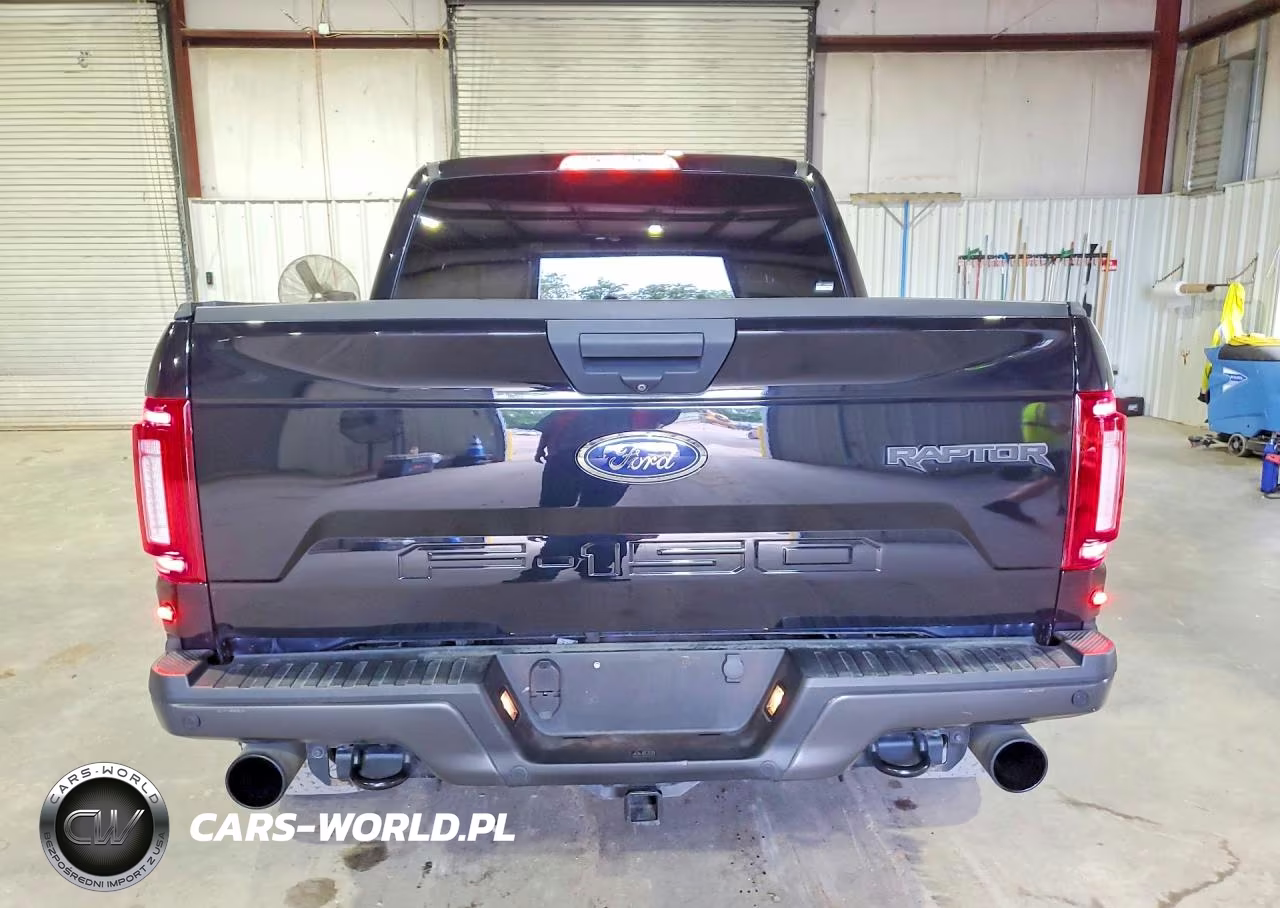 2020 Ford F150 Raptor VIN:1FTFW1RG6LFC64517 - 6