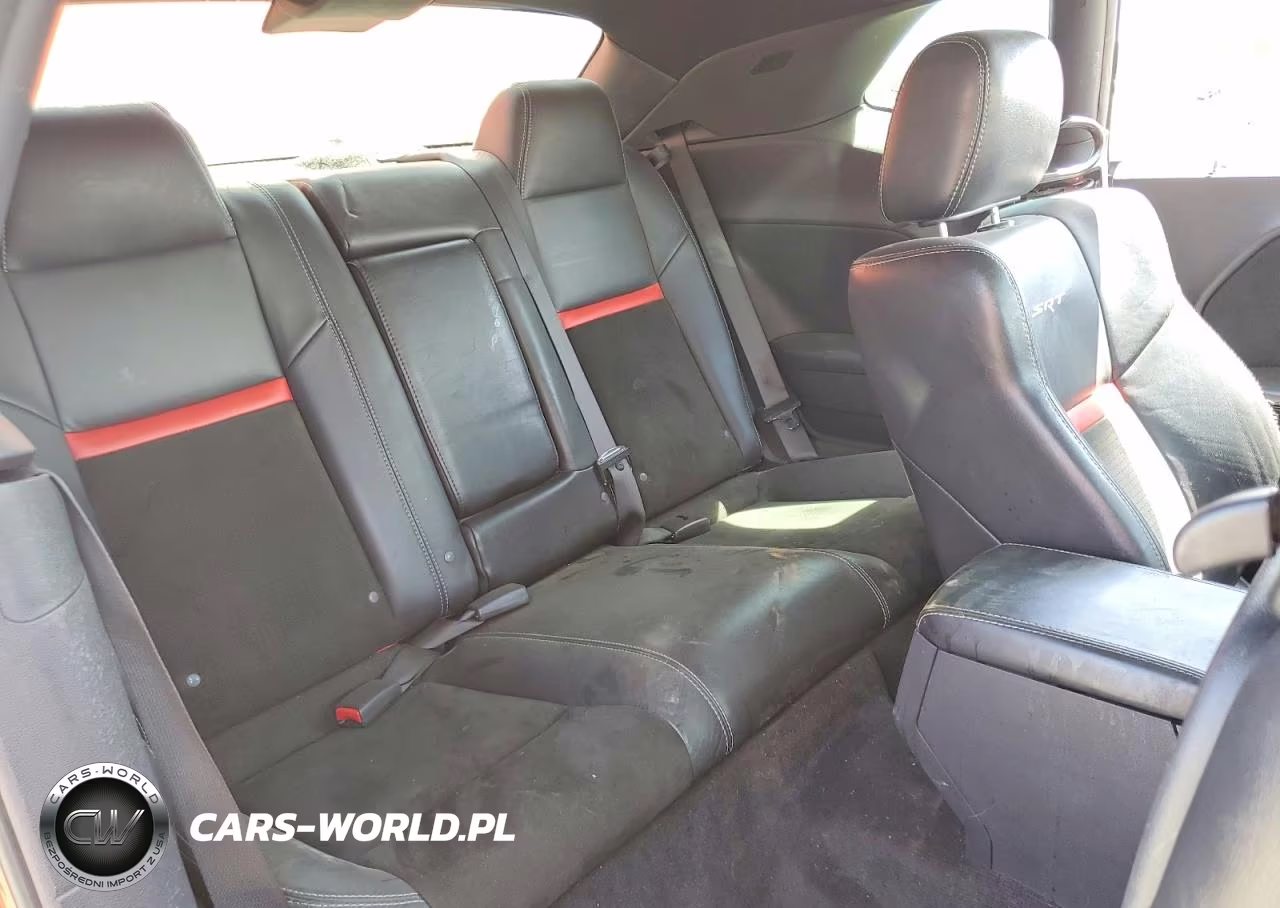 2009 Dodge Challenger Srt-8 VIN:2B3LJ74W29H636947 - 10
