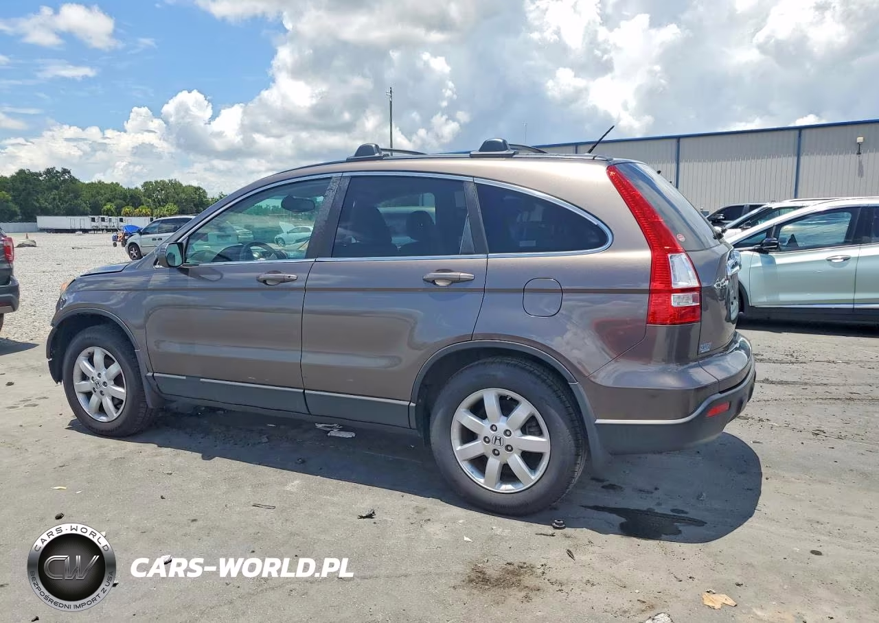 2009 Honda Cr-V Exl VIN:5J6RE48719L010575 - 2