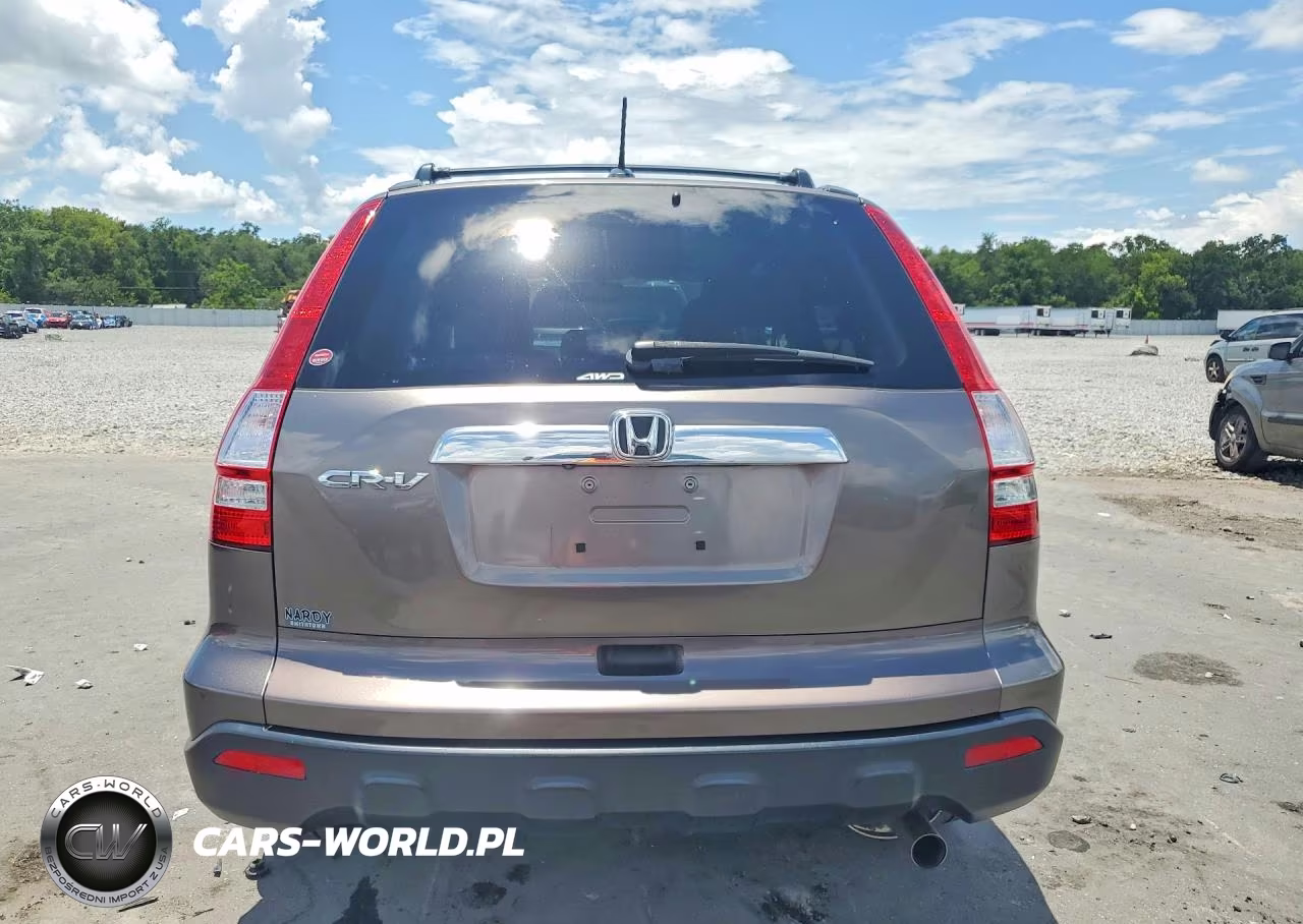 2009 Honda Cr-V Exl VIN:5J6RE48719L010575 - 6