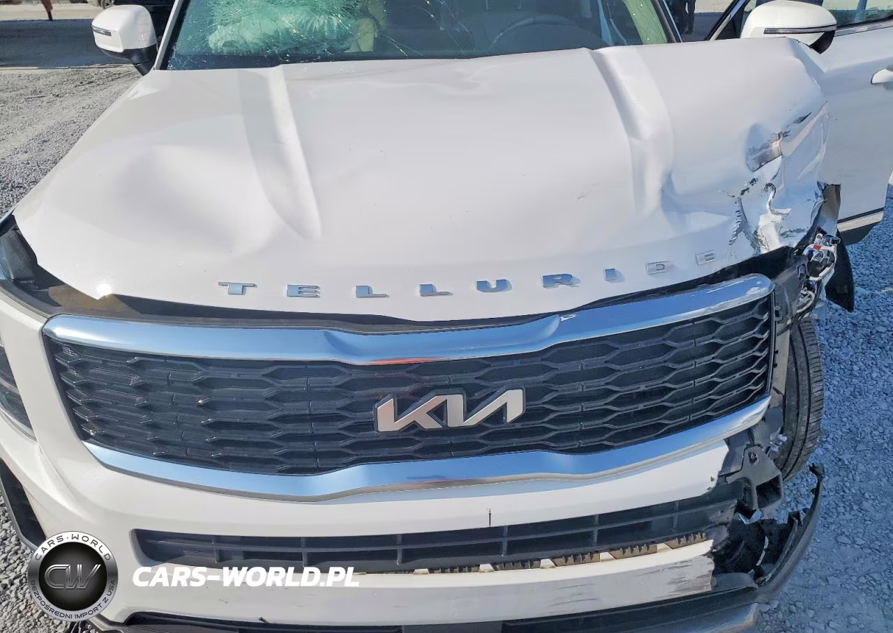 2022 Kia Telluride Ex VIN:5XYP34HC6NG208414 - 11
