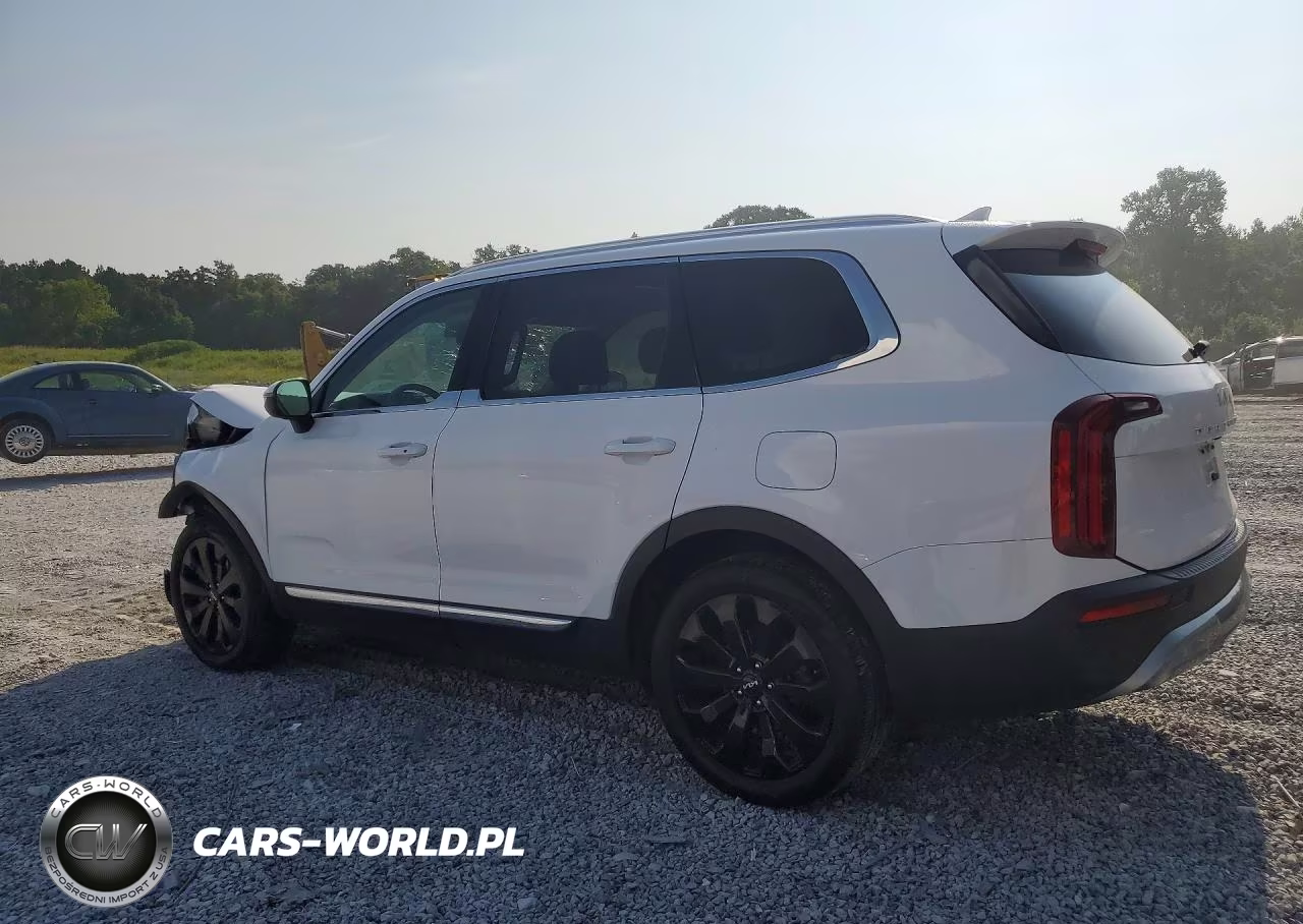 2022 Kia Telluride Ex VIN:5XYP34HC6NG208414 - 2