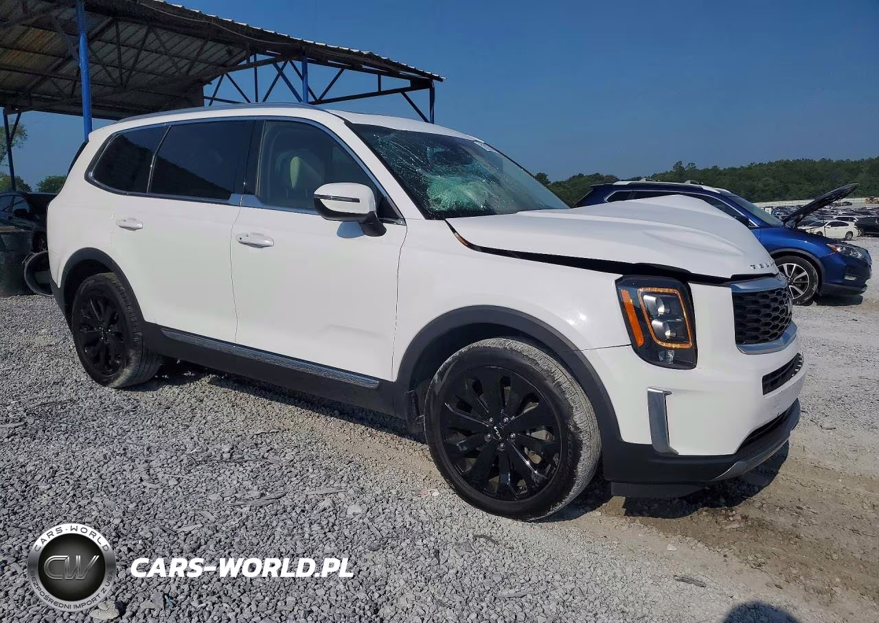 2022 Kia Telluride Ex VIN:5XYP34HC6NG208414 - 4