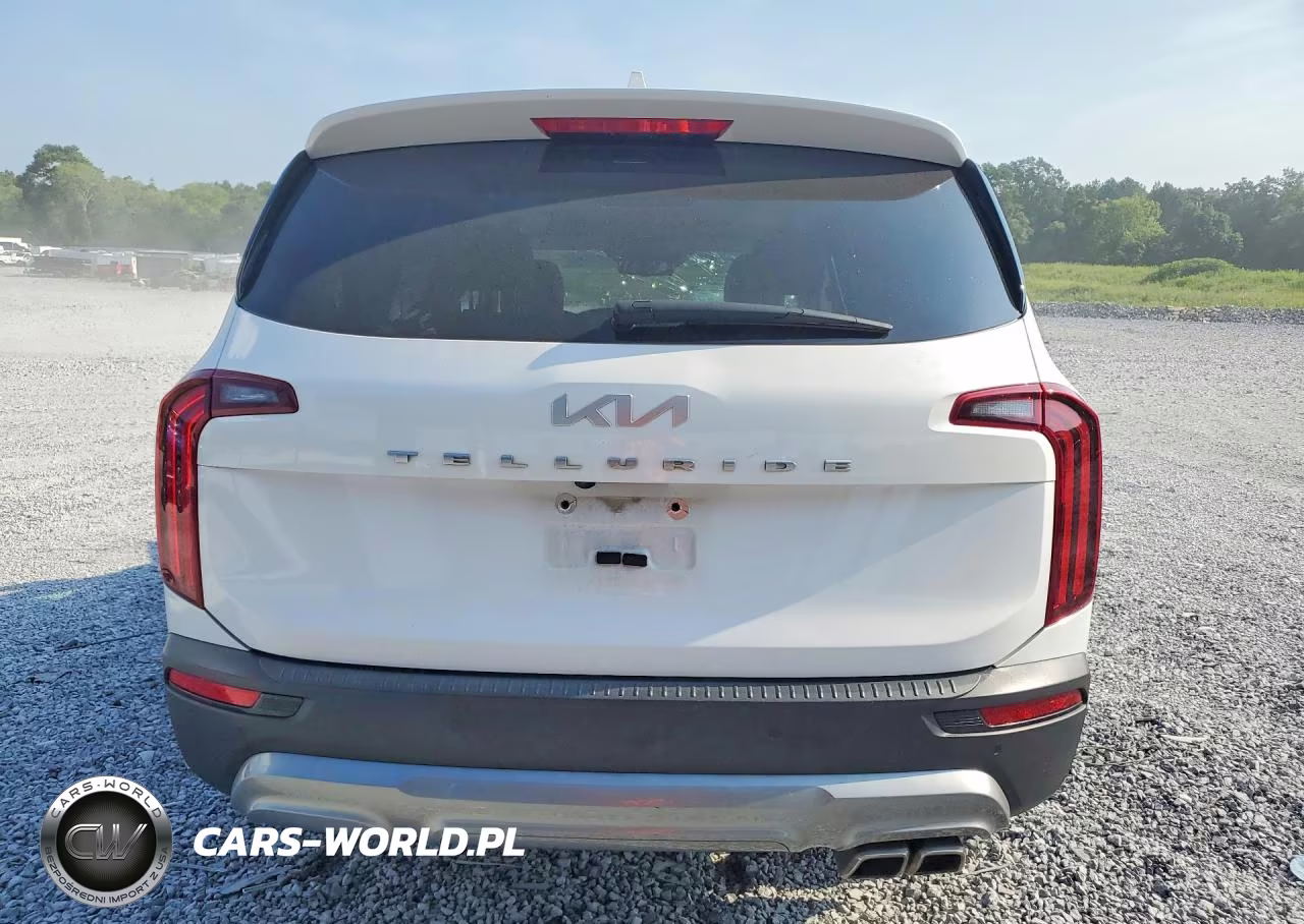 2022 Kia Telluride Ex VIN:5XYP34HC6NG208414 - 6