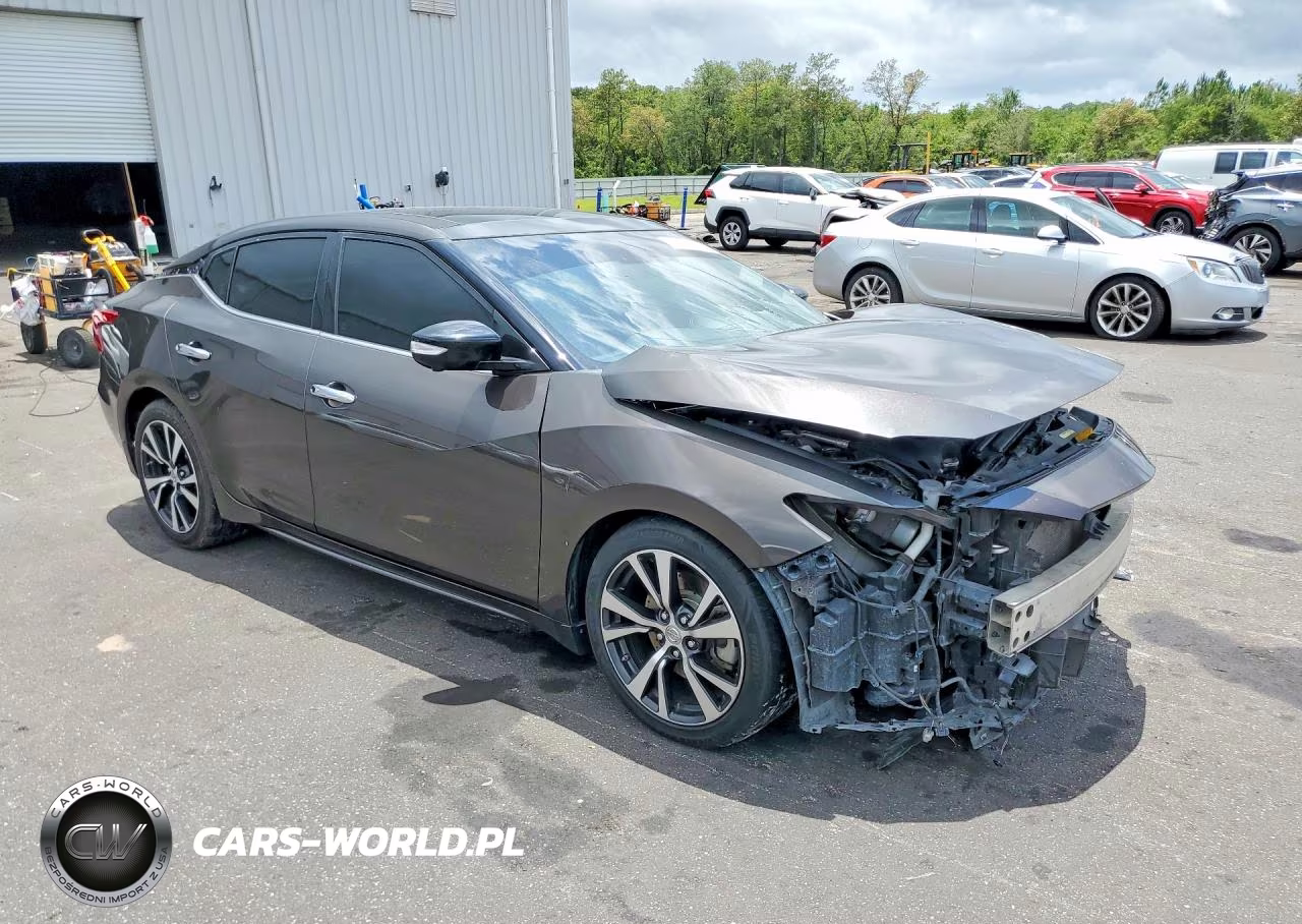 2016 Nissan Maxima Platinum VIN:1N4AA6APXGC402414 - 4