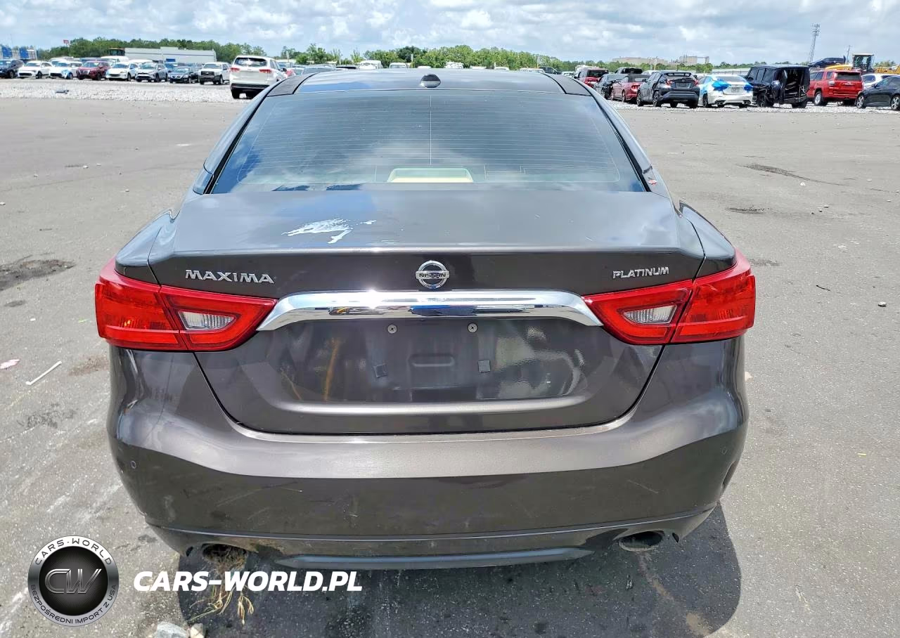 2016 Nissan Maxima Platinum VIN:1N4AA6APXGC402414 - 6