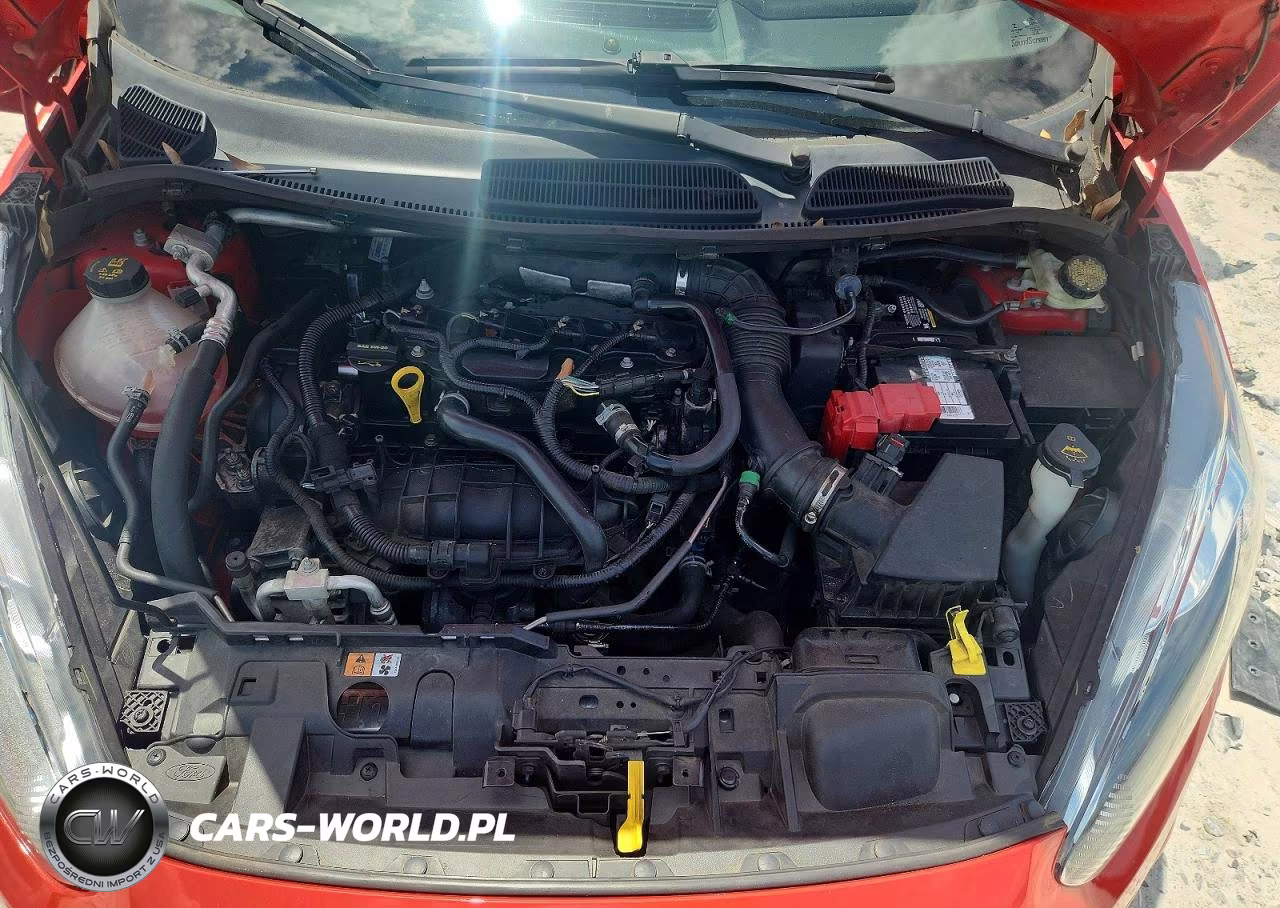 2014 Ford Fiesta St VIN:3FADP4GX3EM197098 - 11