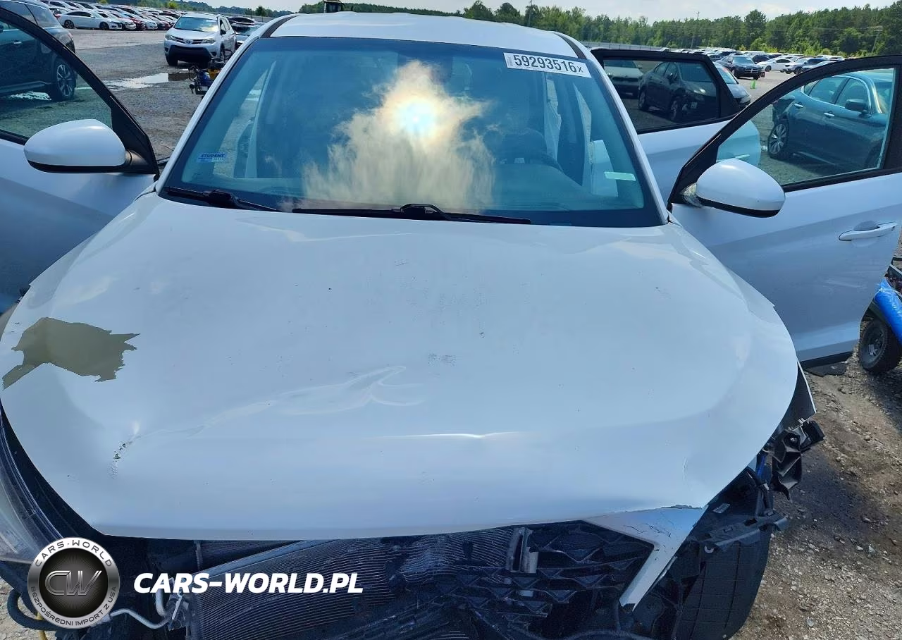 2019 Hyundai Tucson Se VIN:KM8J23A4XKU901160 - 12