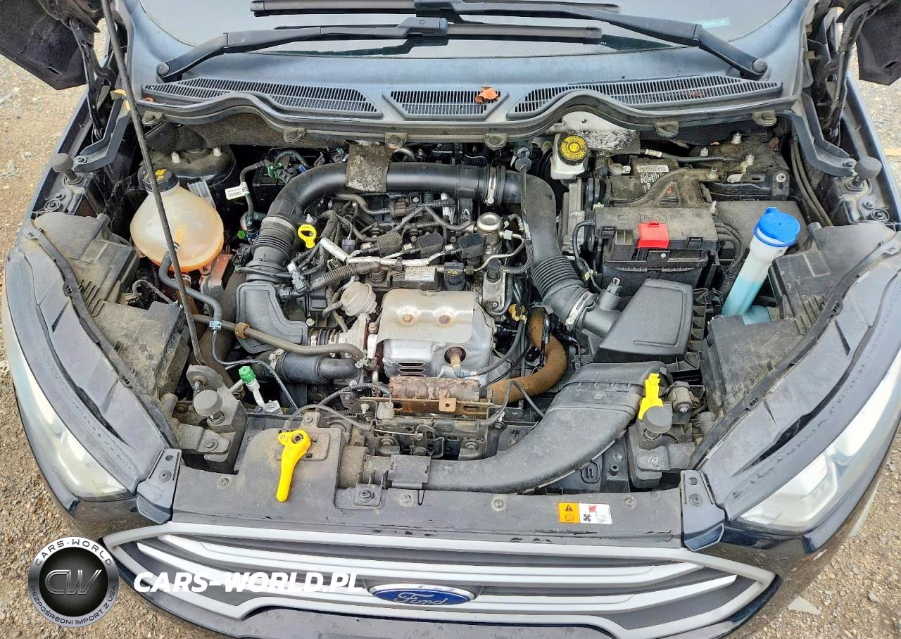 2018 Ford Ecosport Se VIN:MAJ3P1TE1JC220162 - 11