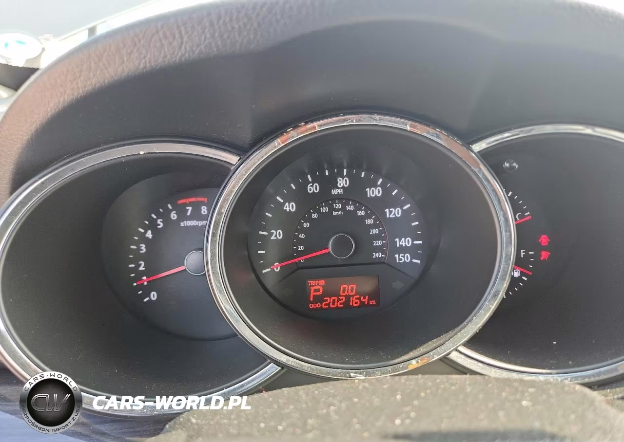 2013 Kia Sorento Ex VIN:5XYKU3A64DG397889 - 9