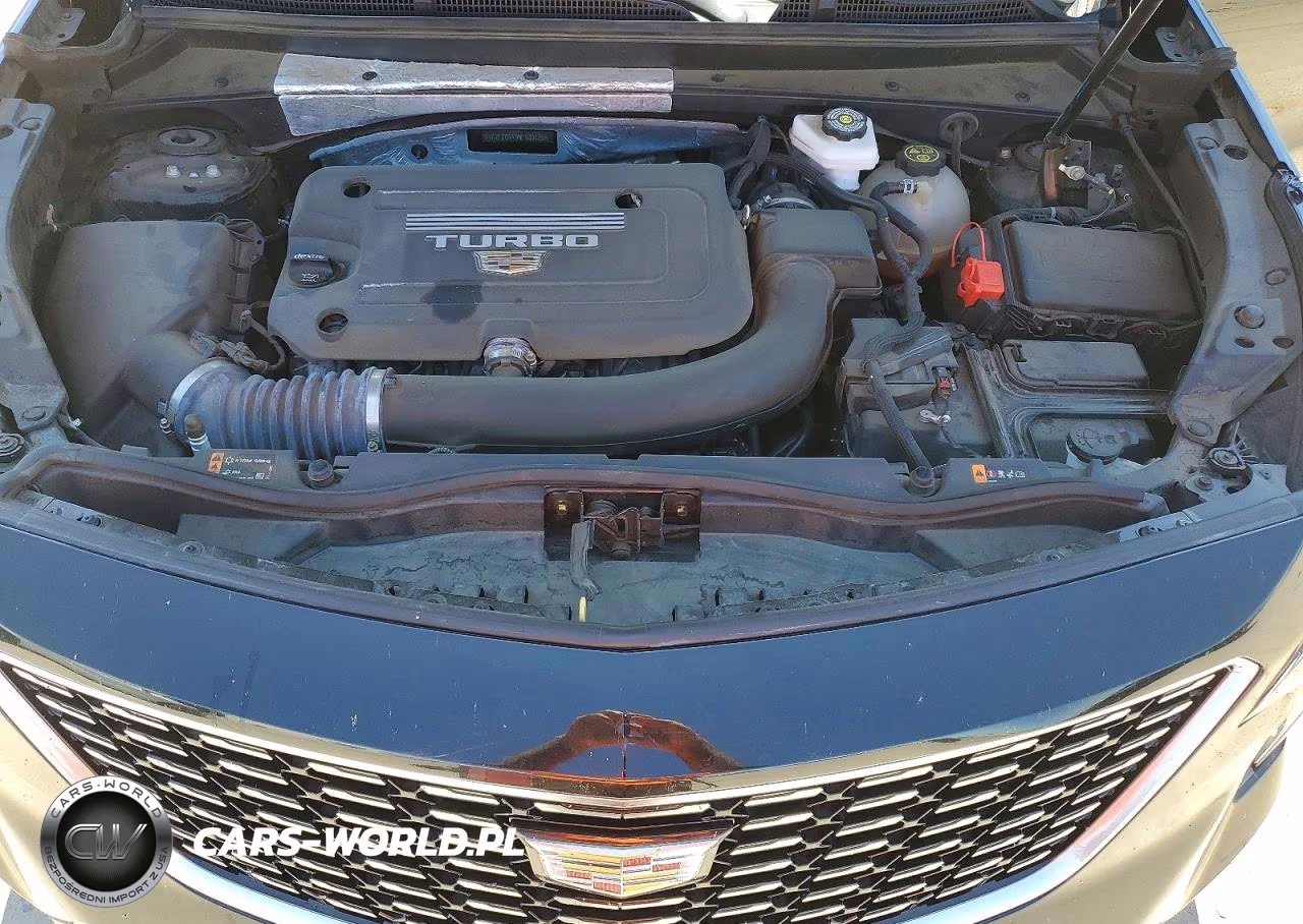 2022 Cadillac Xt4 Premium Luxury VIN:1GYFZDR49NF100125 - 12
