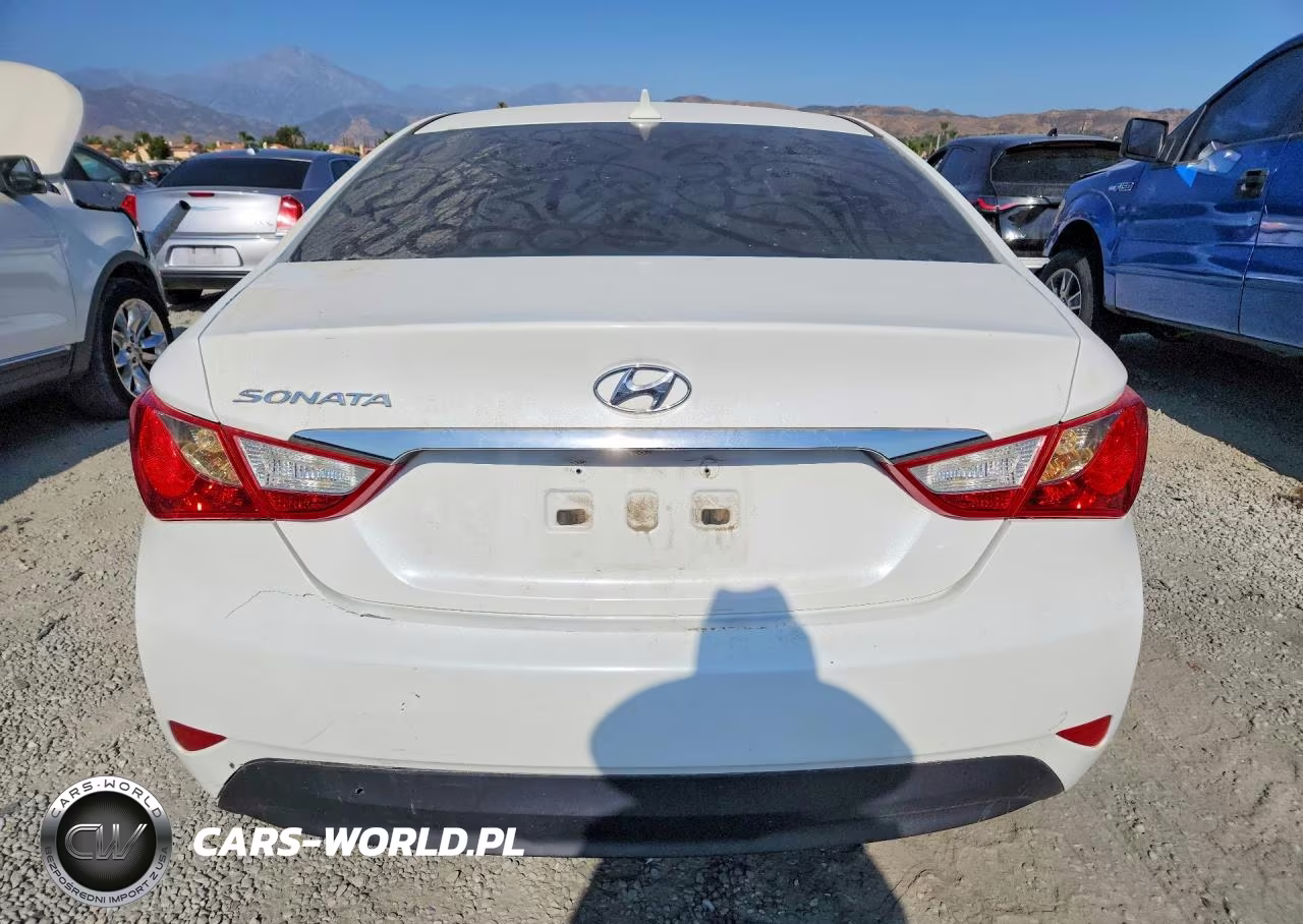 2014 Hyundai Sonata Gls VIN:5NPEB4AC1EH831047 - 6