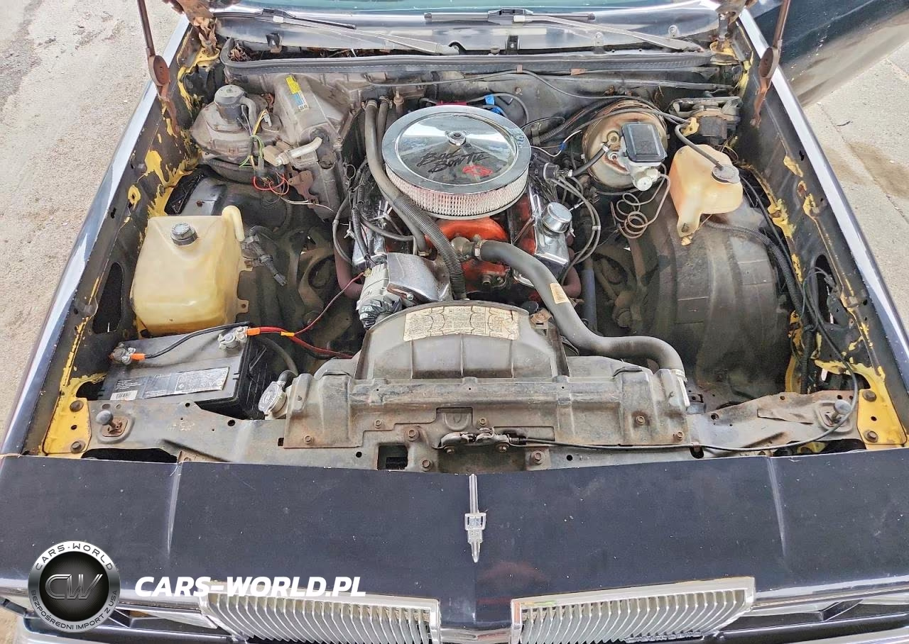 1980 Oldsmobile Cutlass VIN:3R47FAM418160 - 11