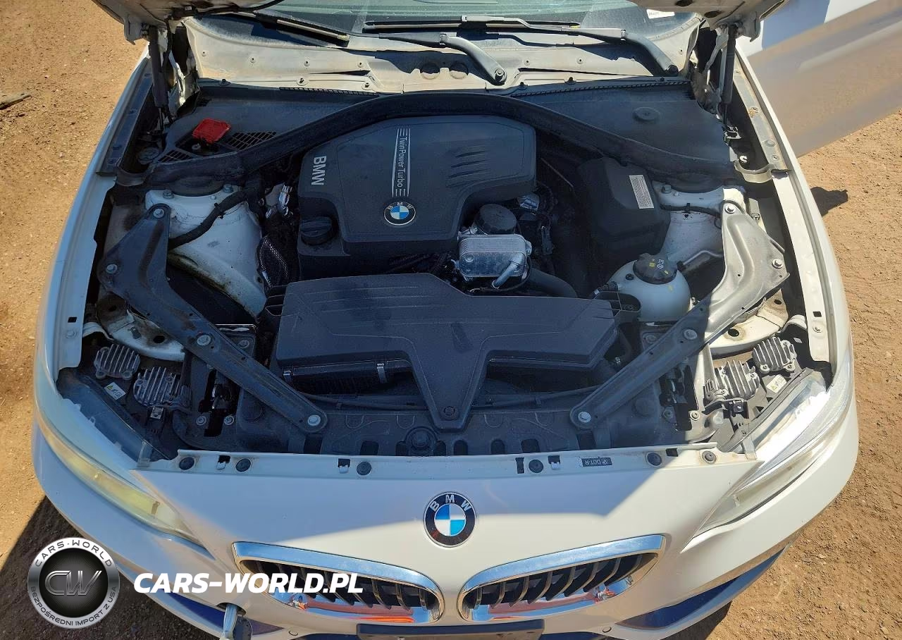 2015 BMW 228 Xi VIN:WBA1K7C55FV235128 - 11