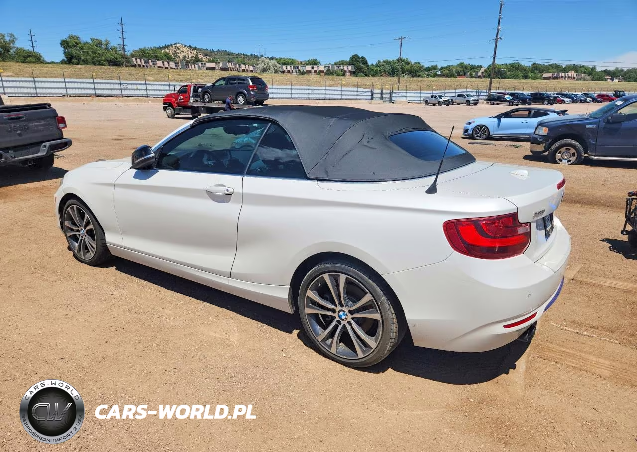 2015 BMW 228 Xi VIN:WBA1K7C55FV235128 - 2