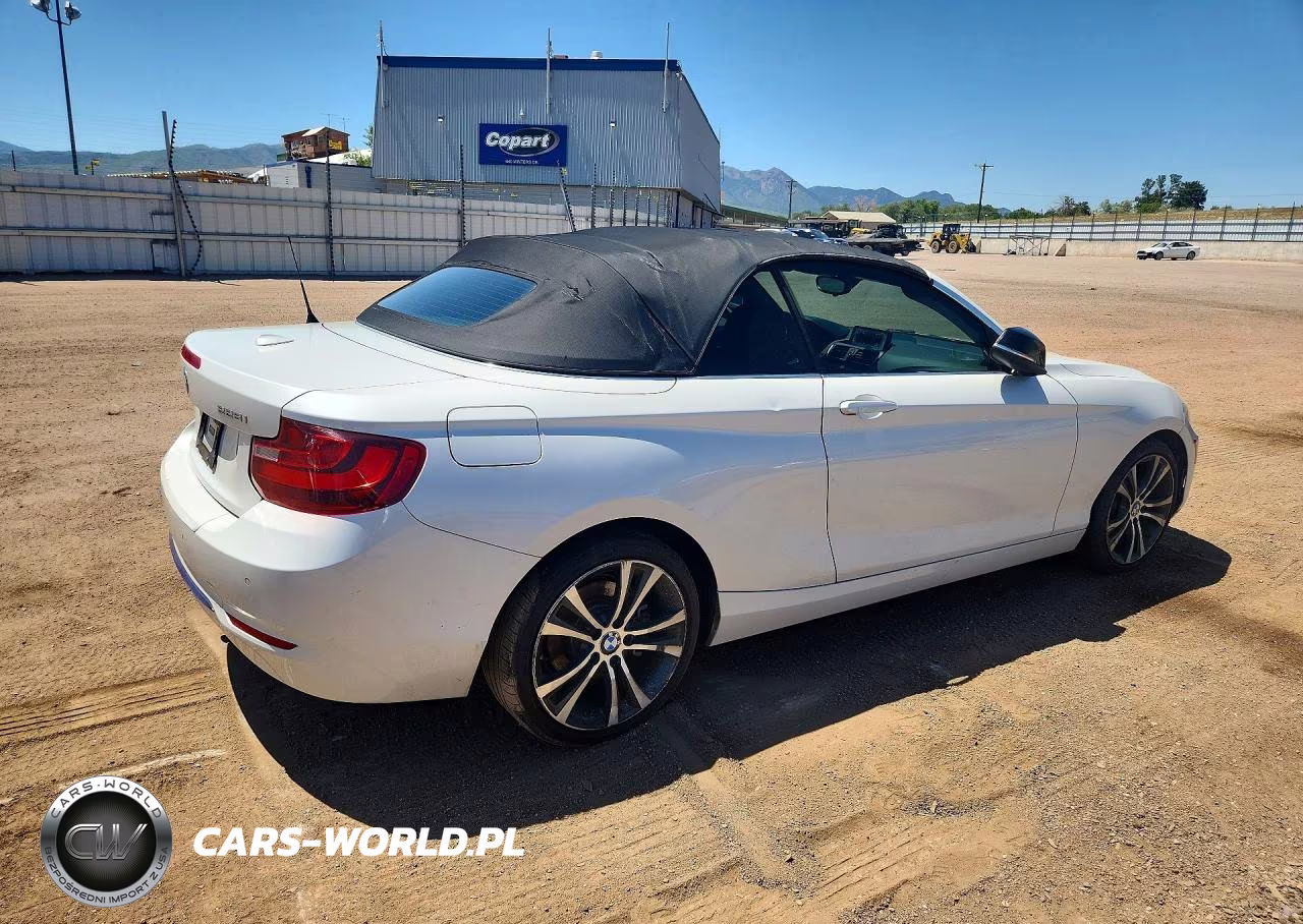 2015 BMW 228 Xi VIN:WBA1K7C55FV235128 - 3