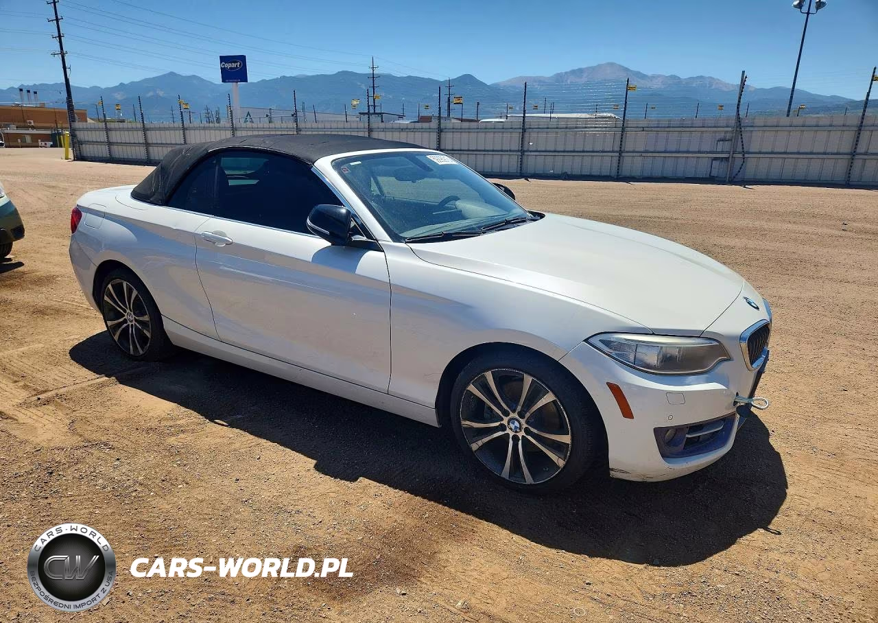 2015 BMW 228 Xi VIN:WBA1K7C55FV235128 - 4
