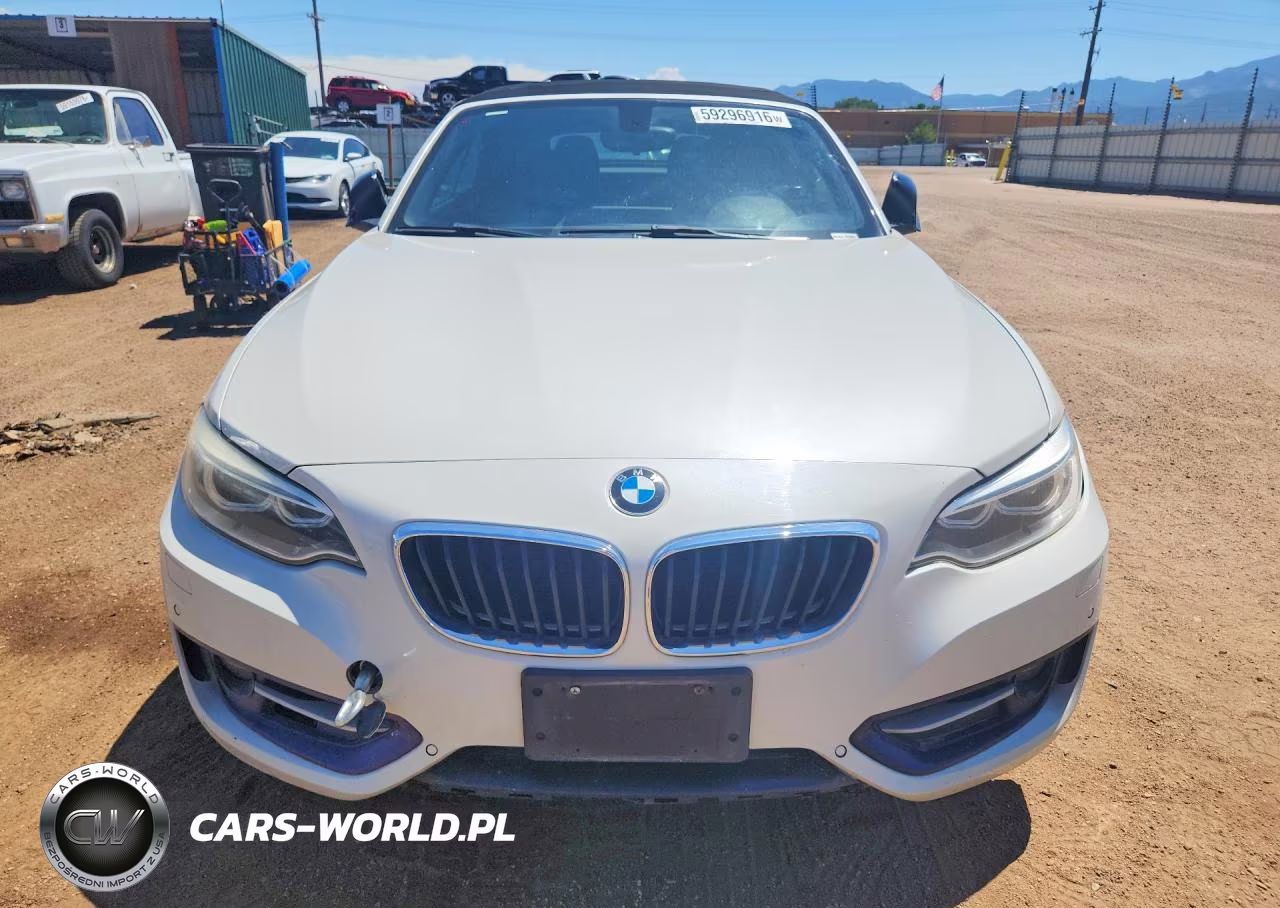 2015 BMW 228 Xi VIN:WBA1K7C55FV235128 - 5
