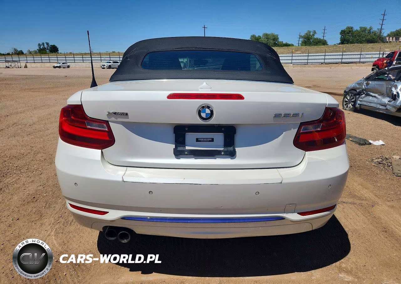 2015 BMW 228 Xi VIN:WBA1K7C55FV235128 - 6