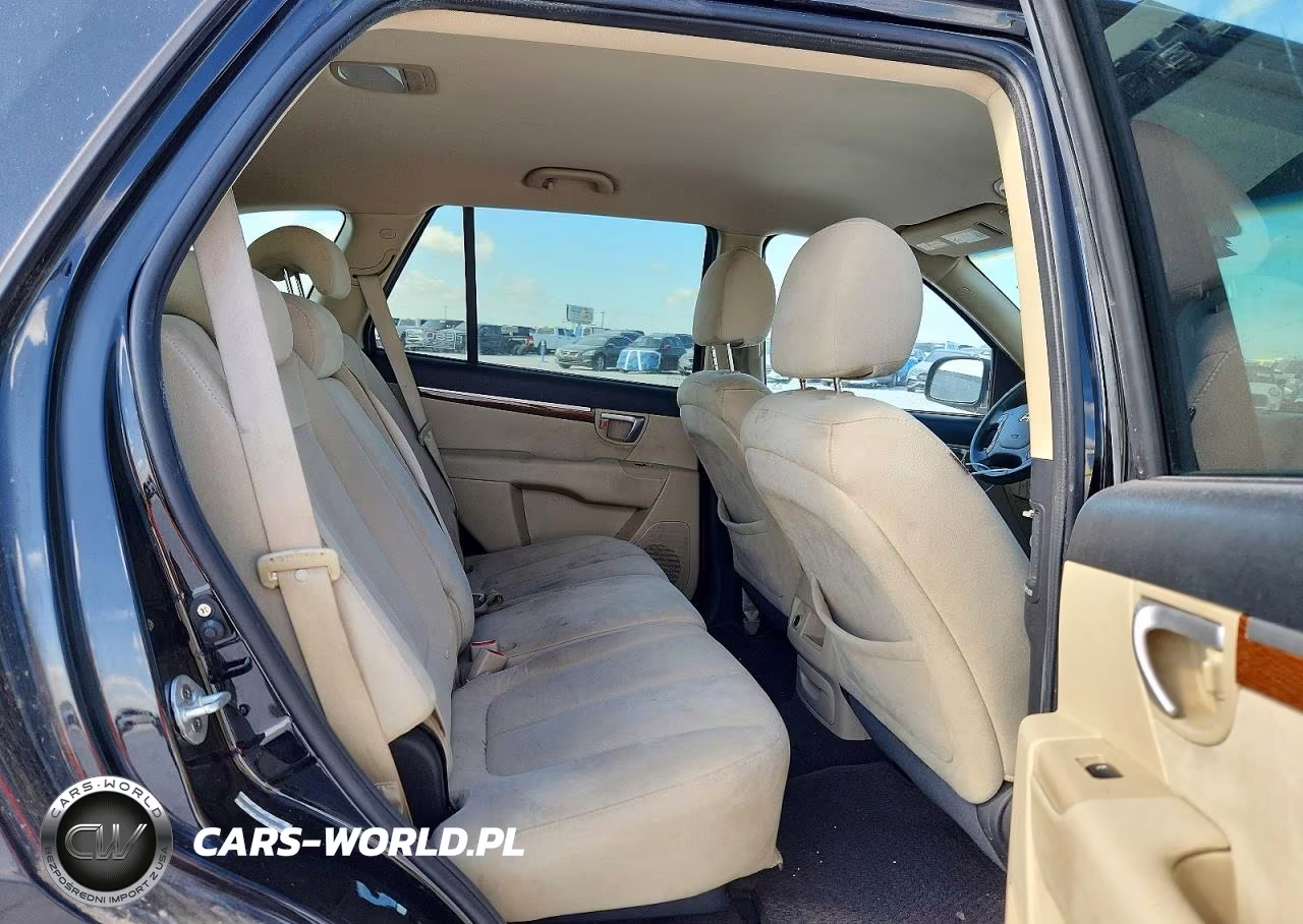 2009 Hyundai Santa Fe Gls VIN:5NMSG13D19H250045 - 10