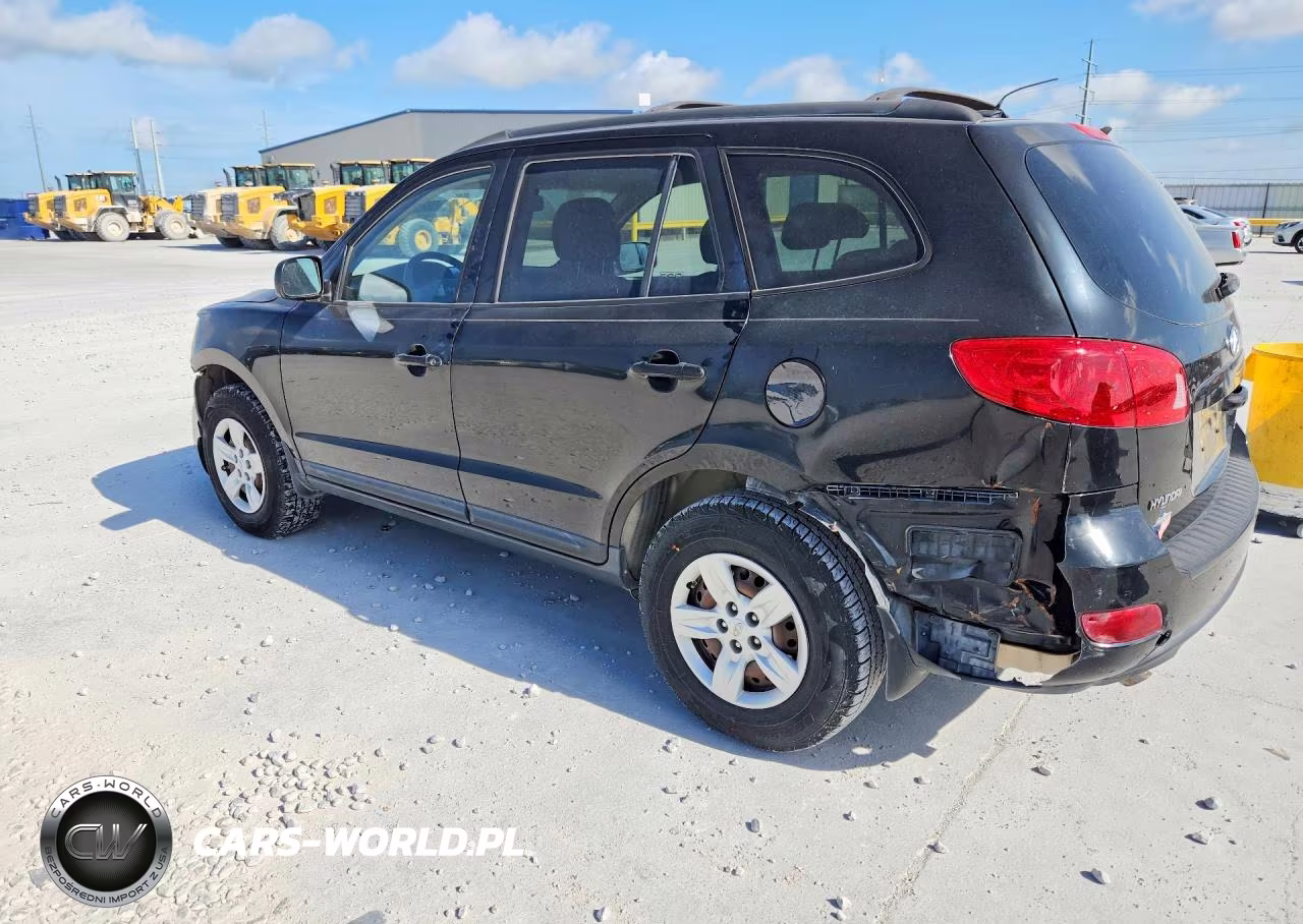 2009 Hyundai Santa Fe Gls VIN:5NMSG13D19H250045 - 2