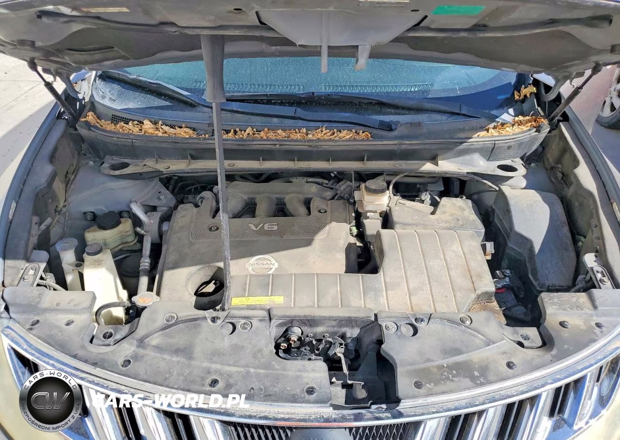 2009 Nissan Murano S VIN:JN8AZ18W59W113188 - 11