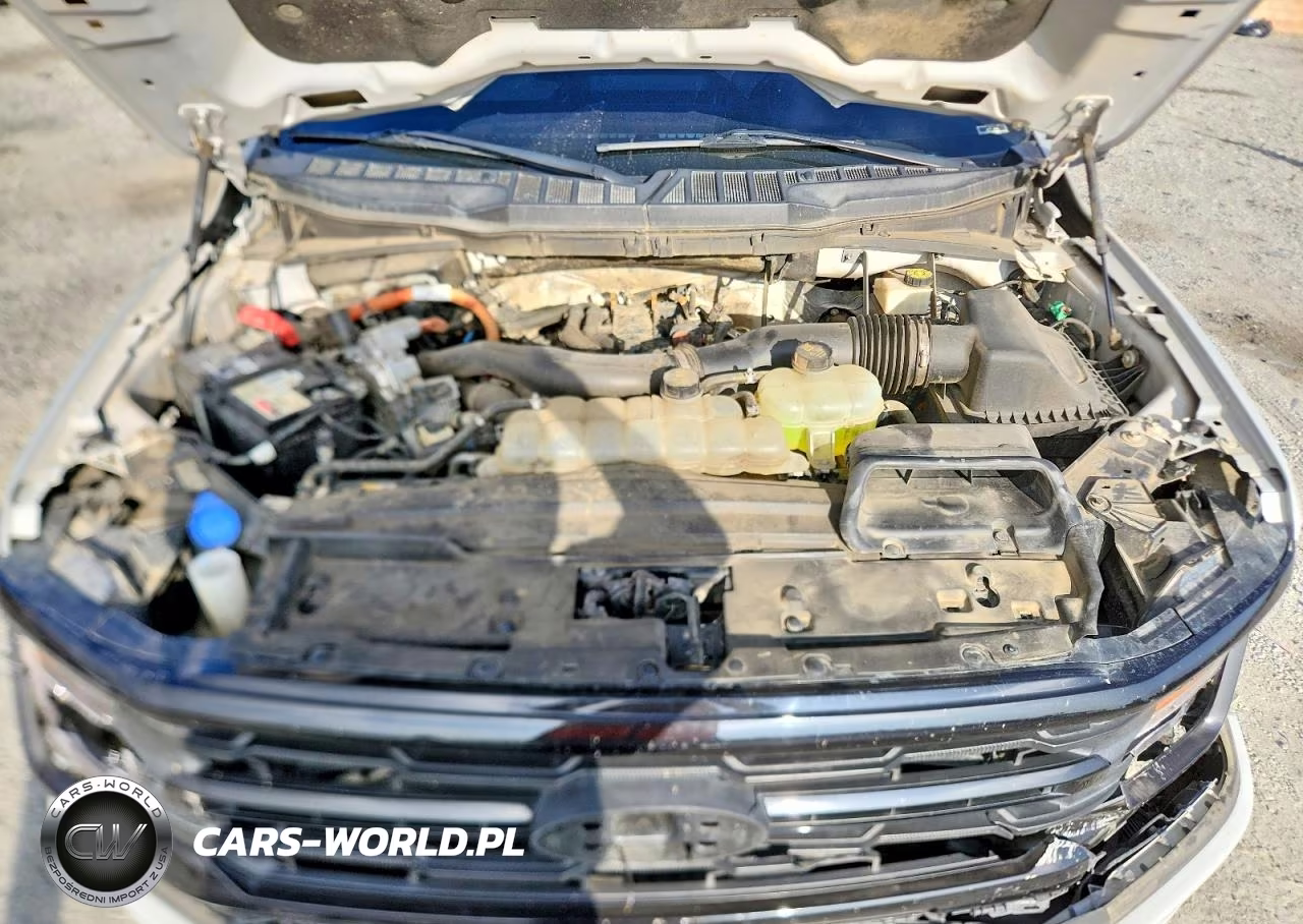 2024 Ford F150 Xlt VIN:1FTFW3LD9RFA49748 - 11