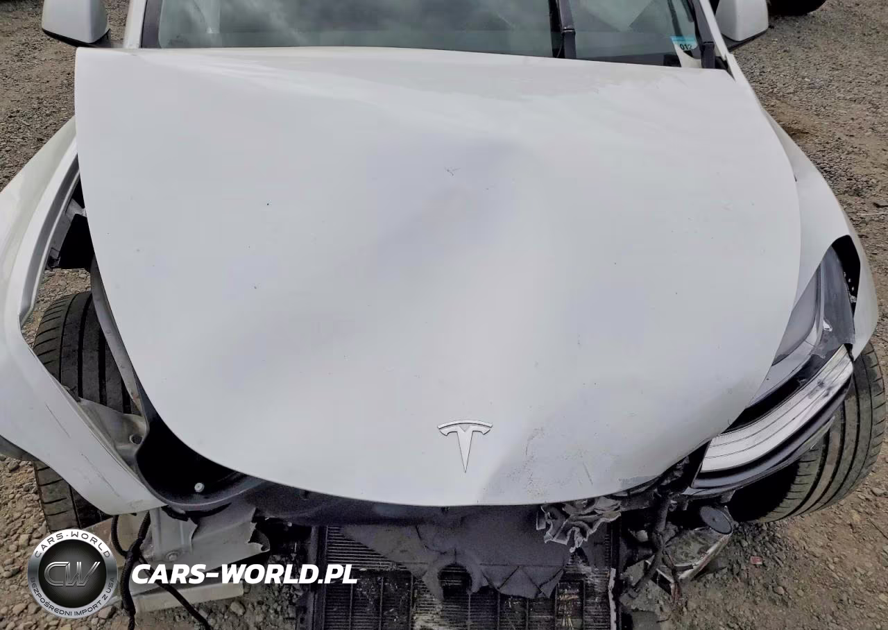 2021 Tesla Model Y VIN:5YJYGDEE9MF098009 - 11